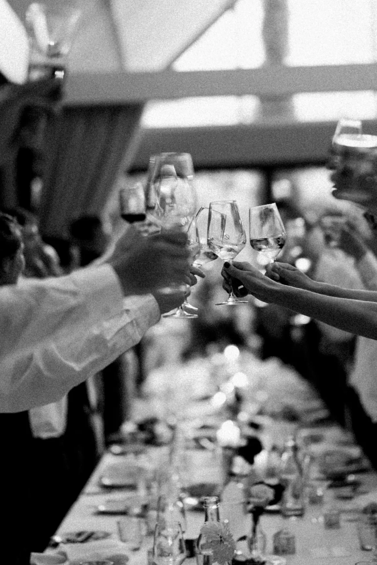 Guests raising their glasses in a toast over a long dinner table at a Half Acre wedding